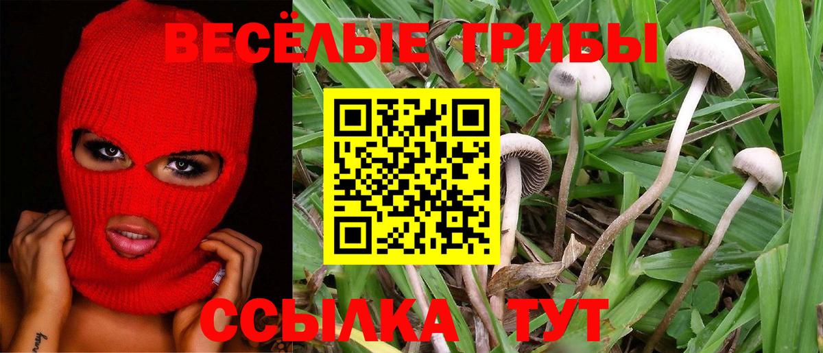 купить закладку  Галлюциногенные грибы мицелий  Вход с VPN  Кунгур  Псилоцибиновые грибы Cubensis 