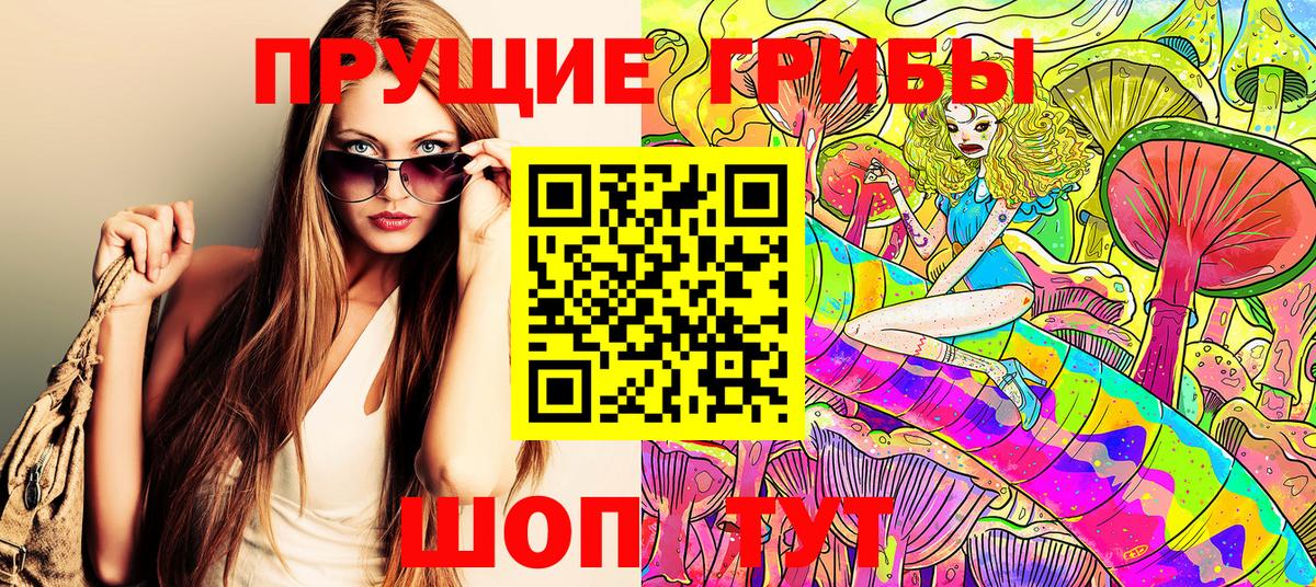 Галлюциногенные грибы Psilocybe Кунгур